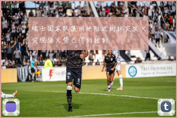 瑞士国家队集训地附近树林突发火灾现场火势已得到控制
